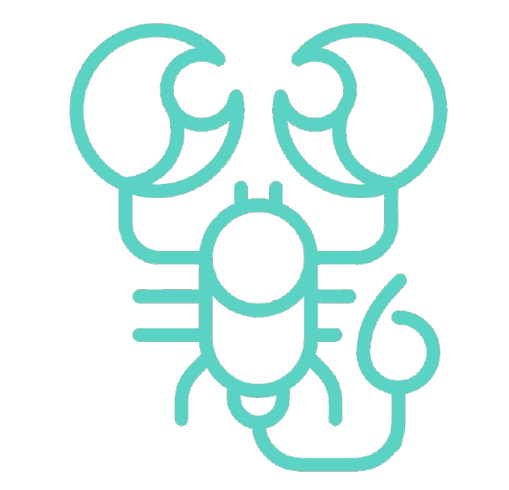 Scorpion - Offshore Wind Geotechnical Software for Jack-up Assessments